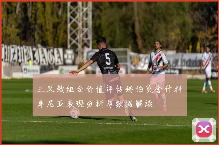 三叉戟组合价值评估姆伯莫舍什科库尼亚表现分析与数据解读