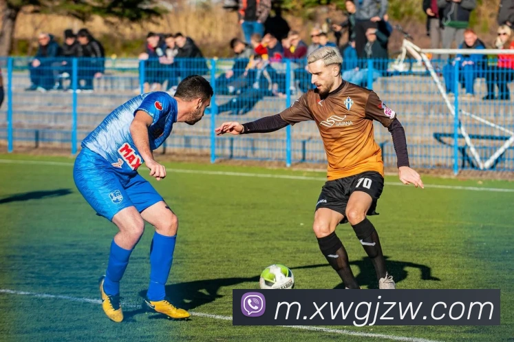 App Interface Preview