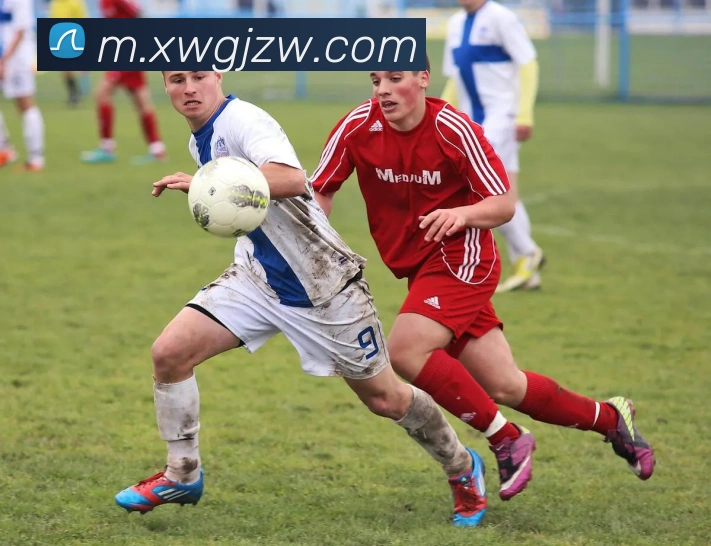 三亿体育APP 封面图